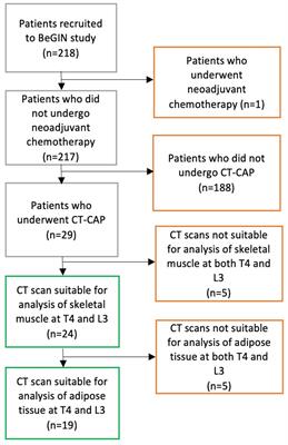 Assessment of body composition in breast cancer patients: concordance between transverse computed tomography analysis at the fourth thoracic and third lumbar vertebrae